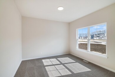 11892 W 123rd Ave, Cedar Lake, IN 46303 - photo 4