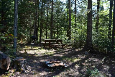 75 Simms Stream Rd, Colebrook, NH 03576 - photo 5