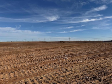 000 Ennis Creek Rd, Snyder, TX 79549 - photo 5