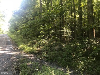 0 Moreland Gap Rd unit 1002350444, New Market, VA 22844 - photo 3