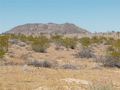 408 Stable Rd, Landers, CA 92285 - photo 4