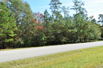 0 Sky Forest Cir unit 81862688, Magnolia, TX 77355 - photo 5