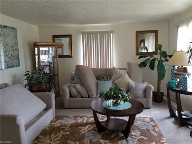 Living Room View