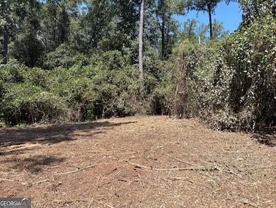 TRACTS 2-4 Old Rumble Rd, Forsyth, GA 31029 - photo 6