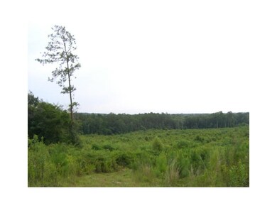 0 Bill Pace Rd, Franklinton, LA 70438 - photo 5