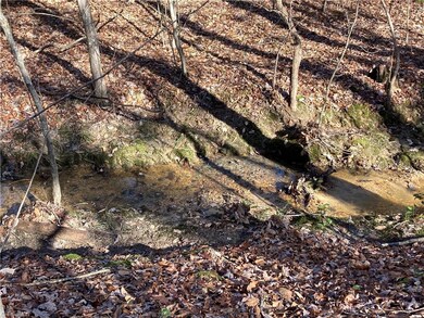 0 Nc Highway 134 N unit 1054741, Star, NC 27375 - photo 4