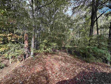 14087 Jackson Rd, Zachary, LA 70791 - photo 3