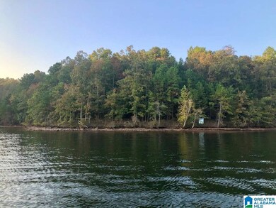 0 County Road 3292 unit 898520, Wedowee, AL 36278 - photo 2