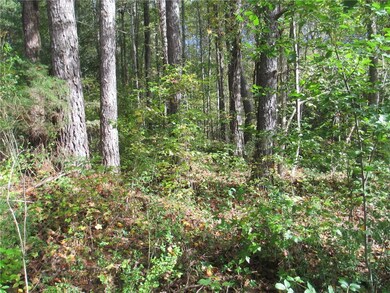 111 Panda Pkwy, Tamassee, SC 29686 - photo 7