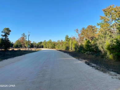 Lot 34 Anderson Dr, Alford, FL 32420 - photo 3