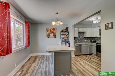 1120 Delmar St unit 4B, Papillion, NE 68046 - photo 4