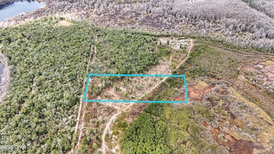 - Pine Log Rd, Chipley, FL 32428 - photo 5