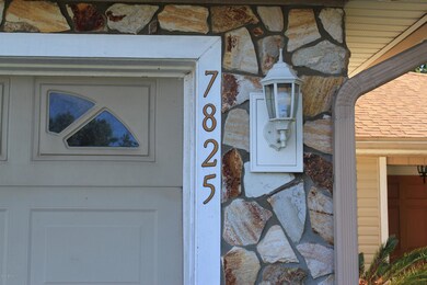 7825 Duckwood Ln, Jacksonville, FL 32210 - photo 7