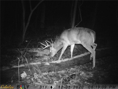 0 Jericho Rd, Glenmont, OH 44628 - photo 3