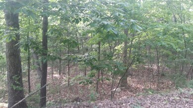 Lot 4 Hunters Glenn Ln, Ruth B Rural Township, MO 65686 - photo 5