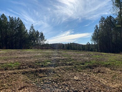 26 Ac Thomas Springs Rd, Crossville, TN 38572 - photo 2