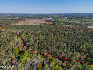 624 Blackwater Dr SW, Calabash, NC 28467 - photo 6