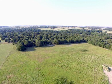 220 Quail Ridge Ct, Decatur, TX 76234 - photo 2