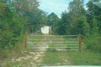 Gate to Property on Joe Anderson Road