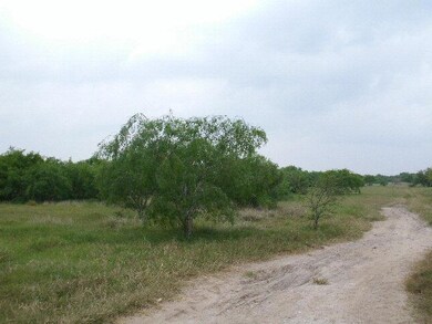 0 Mile 13 N, Progreso Lakes, TX 78596 - photo 5