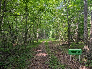 Thicket Ln