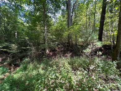 0 Cove Gap Rd unit CAR3913885, Statesville, NC 28625 - photo 5