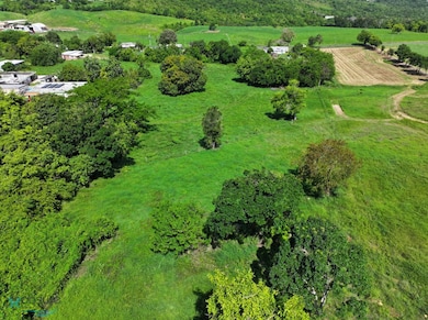 0 Calle de La Cruz, Camuy, PR 00627 - photo 2
