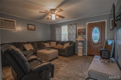 39352 W Sue Dr, Malden, MO 63863 - photo 7