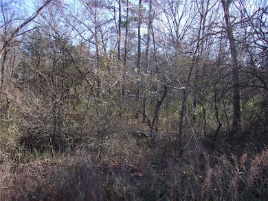 TBD Hwy 71 B, Winslow, AR 72959 - photo 3