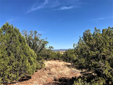 1390 W Joseph Dr, Ash Fork, AZ 86320 - photo 3