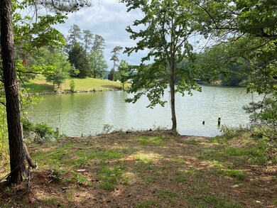 0 Davis Rd, Hamilton, GA 31811 - photo 6