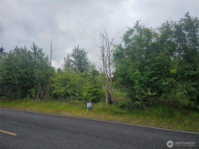 565 Oyler Rd, Ethel, WA 98542 - photo 6