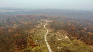 0 V L 40 Acres 160th Ave unit 25059904, Big Rapids, MI 49307 - photo 5