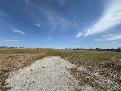 53 Walnut Grove Rd, Carlisle, KY 40311 - photo 2