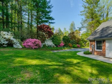 Azaleas Blooming in Side Yard