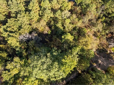 134 Creek Side Trail, Broken Bow, OK 74728 - photo 5