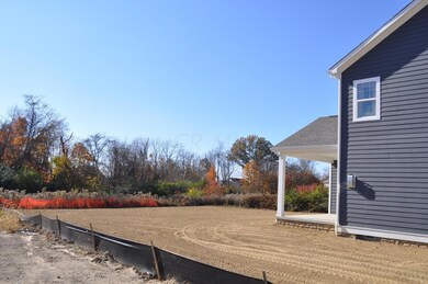 879 Rear Yard