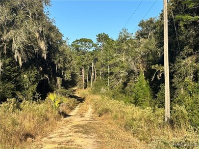 Service Road at Back of Property