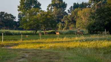 1577 County Road 431, Tennessee Colony, TX 75861 - photo 7