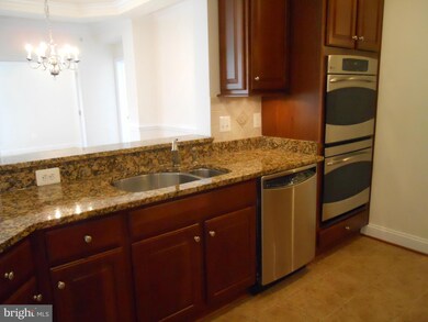 2900 Stone Cliff Dr unit 301, Baltimore, MD 21209 - photo 3