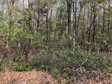 126 Nelson Rd, Milford, PA 18337 - photo 6