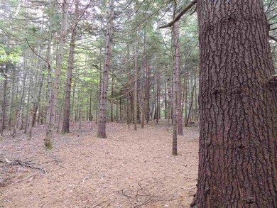 12-1123 Chapel Hill Rd, Whitingham, VT 05342 - photo 6