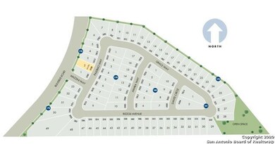 3311 Grace Way, San Antonio, TX 78261 - photo 3