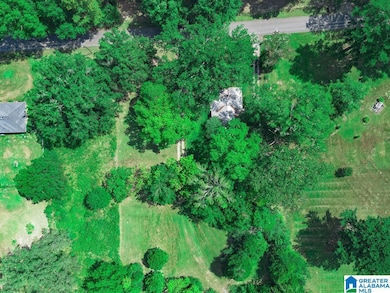 1153 Lake Dr SE, Bessemer, AL 35022 - photo 3