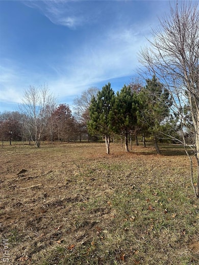 0 Shady Creek Ln unit MIS25078166, Unincorporated, MO 63348 - photo 3