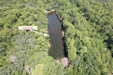 Shared lake