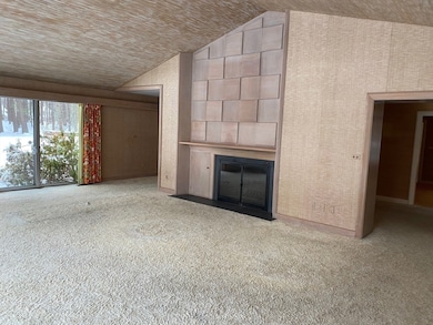 19 Bartlett Ave, Nashua, NH 03064 - photo 6