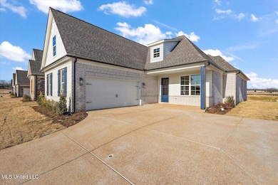 726 Coahoma Ct, Nesbit, MS 38651 - photo 3