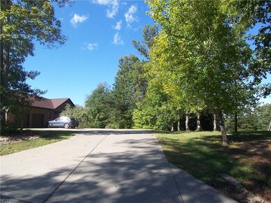 Tree lined driveway