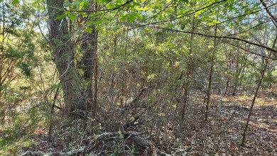 21029 Trailwood Dr, Whitney, TX 76692 - photo 6